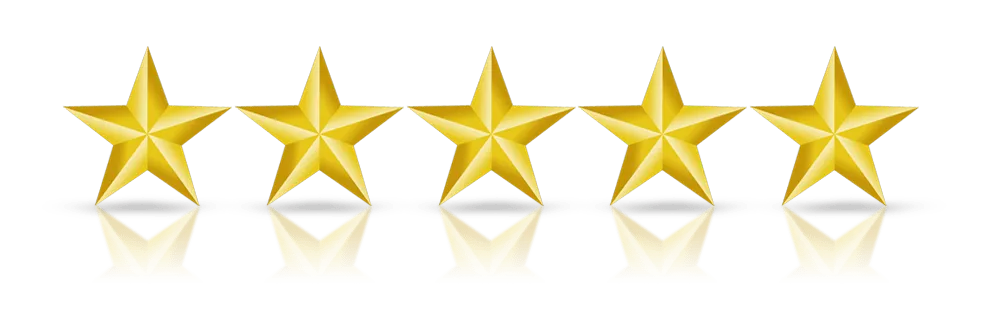 FitBurn five stars